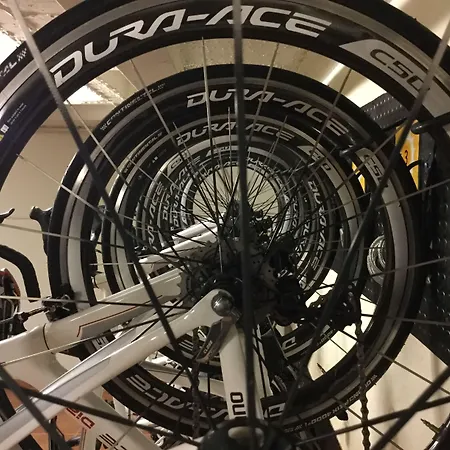 Western Premier Cmc Hotel